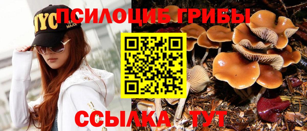 Воскресенск  Псилоцибиновые грибы Psilocybe  Вход с VPN 
